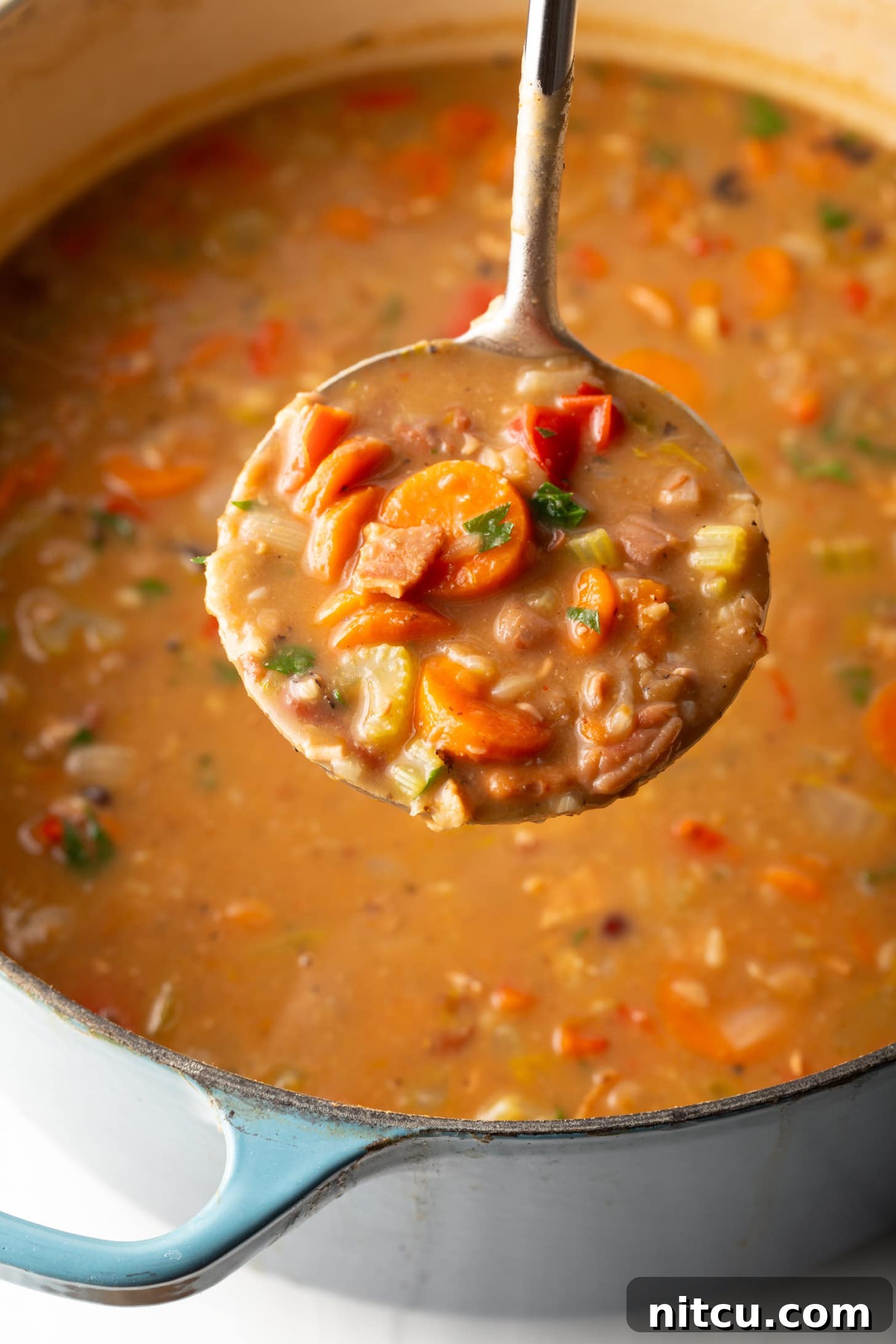 featured 144962