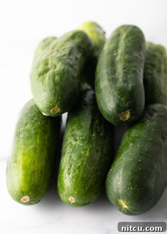 Effortless Homemade Bread & Butter Pickles 5 Fresh cucumbers on a kitchen counter.