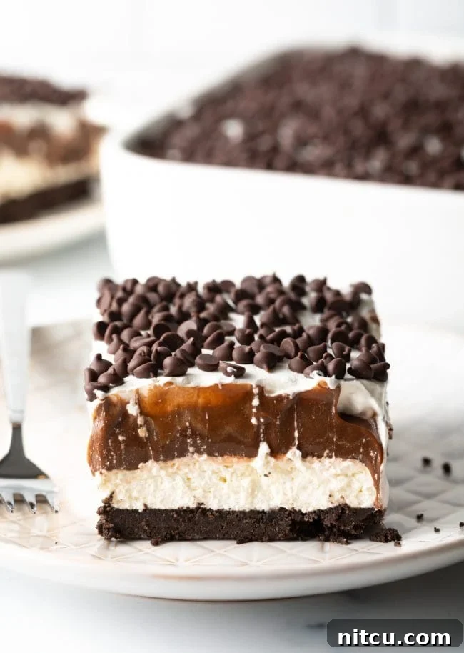 Layered Chocolate Indulgence 2 A close-up of a perfectly portioned slice of No-Bake Chocolate Lasagna on a white plate, showcasing its distinct, creamy chocolate and white layers and an Oreo crust base, garnished with chocolate shavings.
