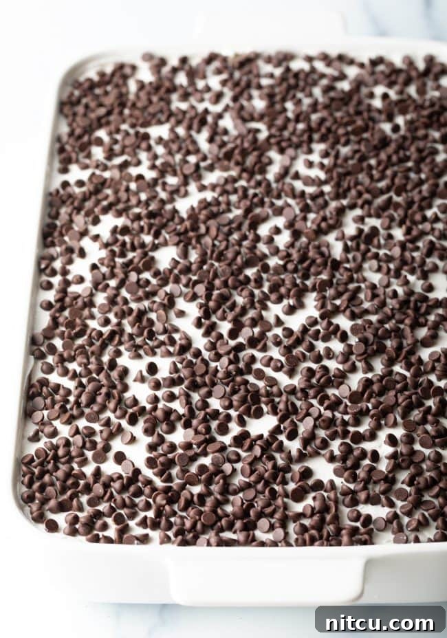 Layered Chocolate Indulgence 14 A large pan of No-Bake Chocolate Lasagna, generously topped with mini chocolate chips, ready for serving.