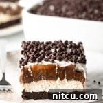 A finished slice of No-Bake Chocolate Lasagna, topped with mini chocolate chips.
