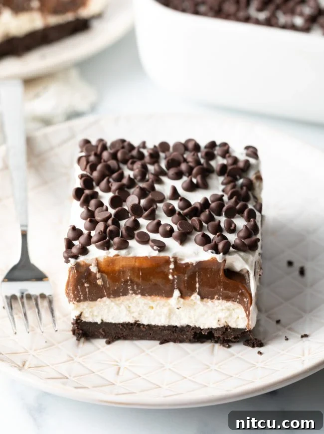 Layered Chocolate Indulgence 17 A beautifully layered slice of No-Bake Chocolate Lasagna, showcasing all four distinct layers, on a plate ready to be served.