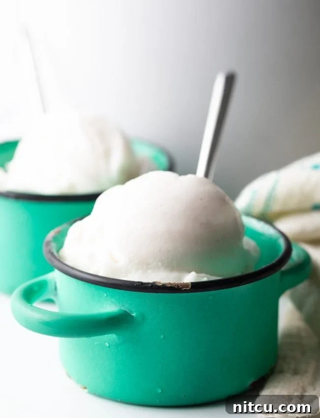 Creamy Dairy-Free Coconut Ice Cream 2 coconut milk ice cream in two small serving bowls.