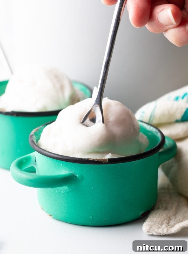 Creamy Dairy-Free Coconut Ice Cream 11 getting a spoonful of coconut milk ice cream in a small bowl