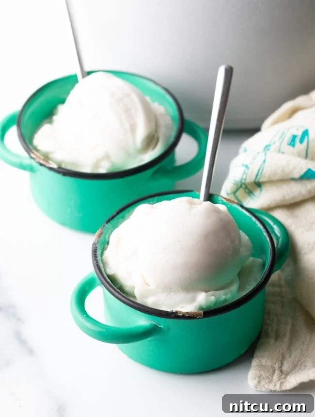 Creamy Dairy-Free Coconut Ice Cream 12 two servings of dairy-free coconut milk ice cream