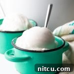 Homemade Coconut Milk Ice Cream