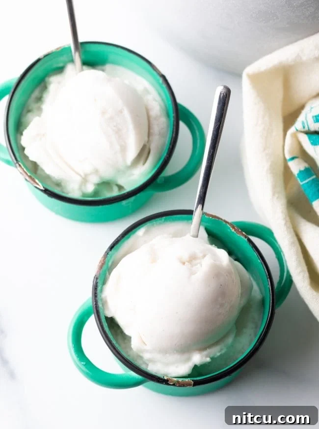 Creamy Dairy-Free Coconut Ice Cream 3 overhead view of two cups with homemade vanilla coconut milk ice cream