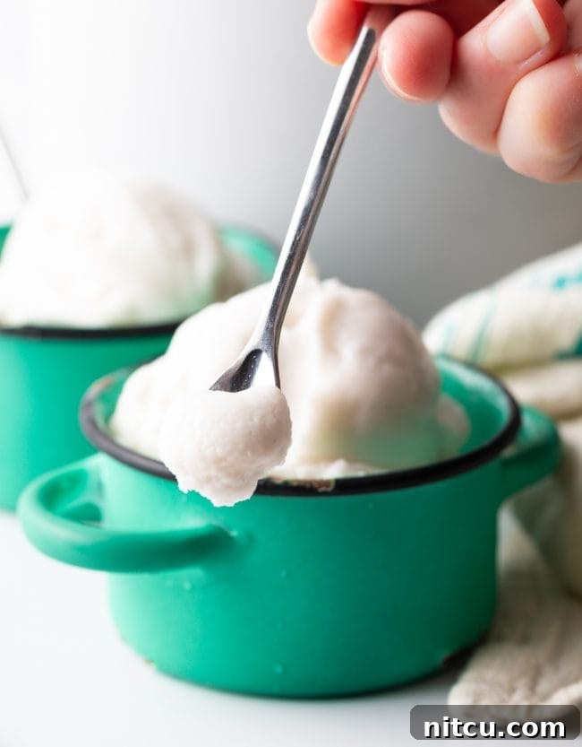 Creamy Dairy-Free Coconut Ice Cream 4 scoop of coconut ice cream on a spoon