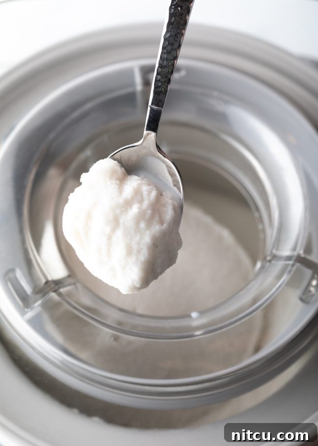 Creamy Dairy-Free Coconut Ice Cream 10 Coconut ice cream in an ice cream maker with a spoon of ice cream above it.