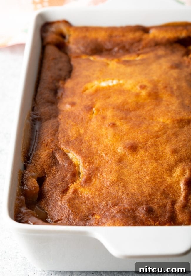 Easy Bisquick Peach Cobbler 8 baked bisquick peach cobbler recipe