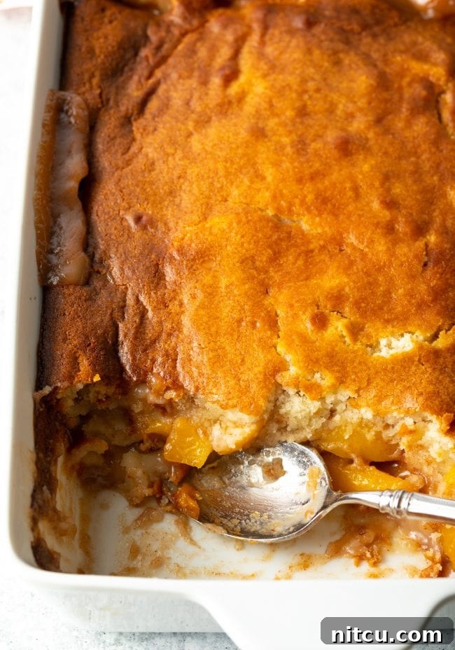 Easy Bisquick Peach Cobbler 9 img 103148 8