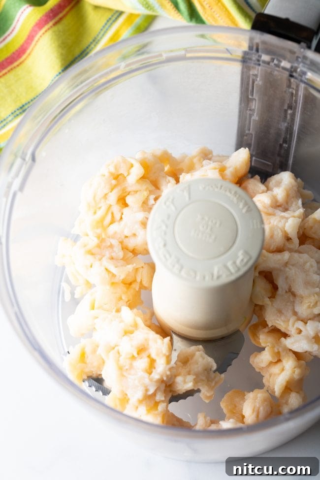 Fresh conch meat, cut into large chunks, being placed into a food processor, ready for finely chopping to prepare the fritter mixture.
