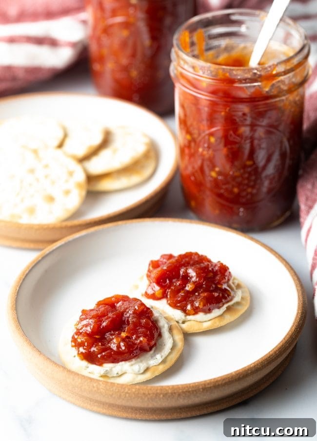 Two crisp crackers topped with creamy cheese and a dollop of homemade tomato jam, artfully arranged on a rustic plate.