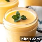Creamy Vegan Mango Pudding 15 Dairy-Free Mango Pudding garnished with fresh mint