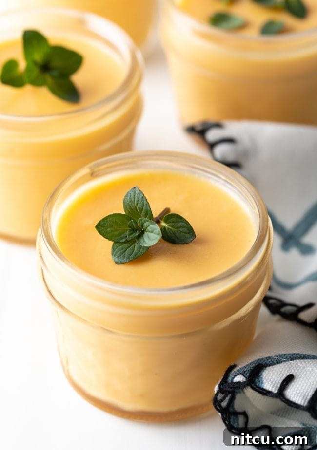 Creamy Vegan Mango Pudding 5 Close up view of dairy free mango pudding.