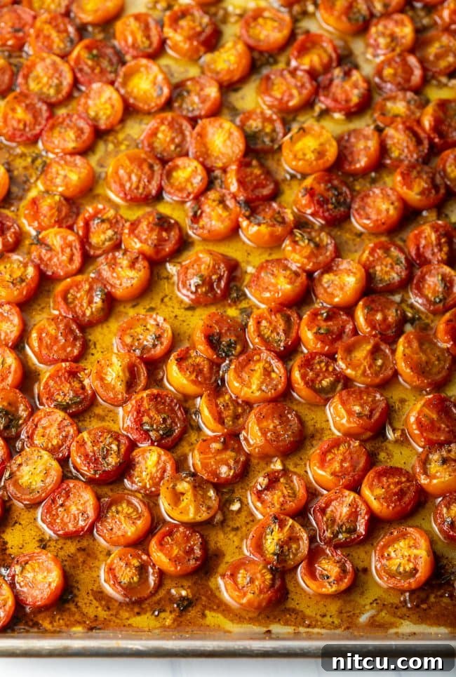 Oven-Kissed Cherry Tomatoes 9 Overhead view of a baking sheet filled with beautifully roasted balsamic cherry tomatoes.
