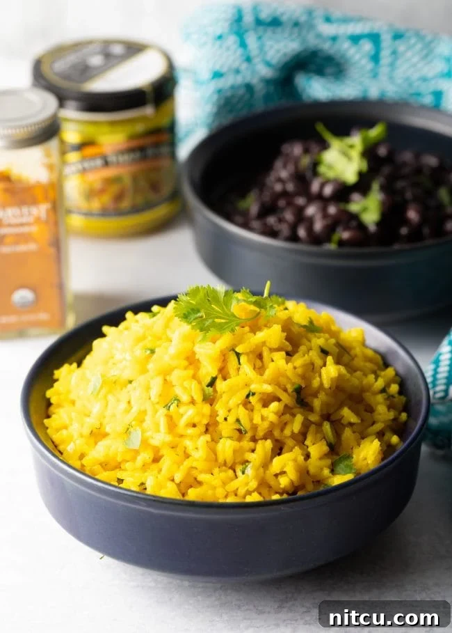Closeup of yellow rice plated in bowl with cilantro garnish, showcasing its vibrant color and fluffy texture.