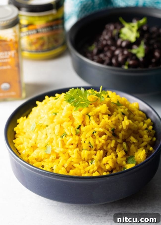 Closeup of yellow rice plated in a bowl with fresh cilantro garnish, ready to be enjoyed.
