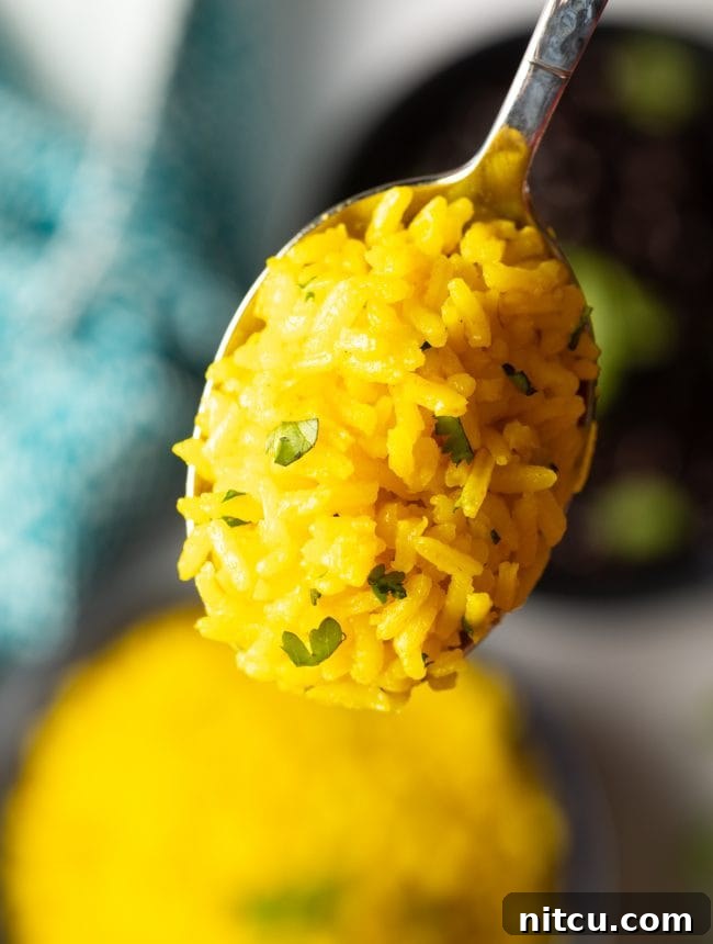 A spoonful of vibrant yellow rice, showcasing its fluffy and appealing texture.