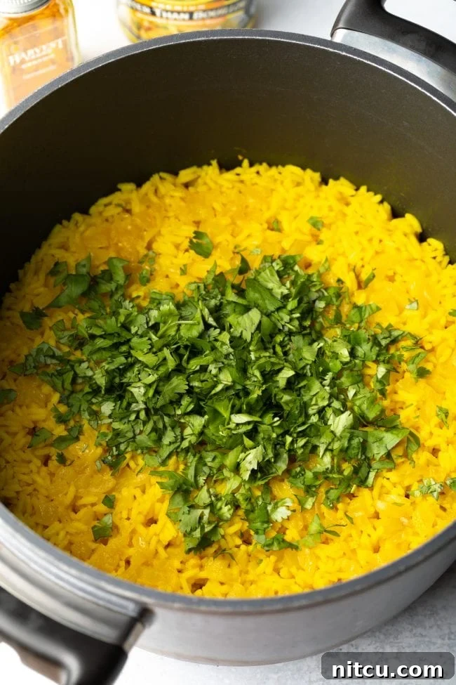 Yellow rice gently topped with fresh, vibrant cilantro as a garnish.