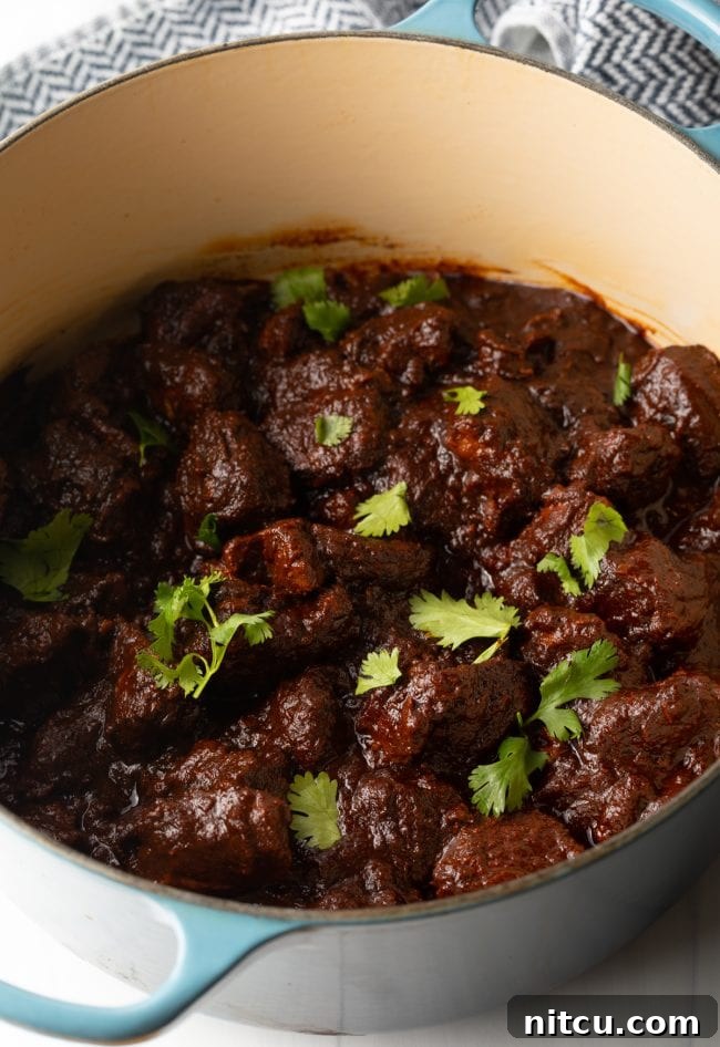 The Ultimate Carne Adovada Recipe 11 New Mexican Red Chile Pork - cooked adovada in a pot with cilantro leaves on top