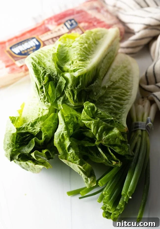 Sad Greens 4 bundles of romaine, scallions, and bacon in the background all on a white background