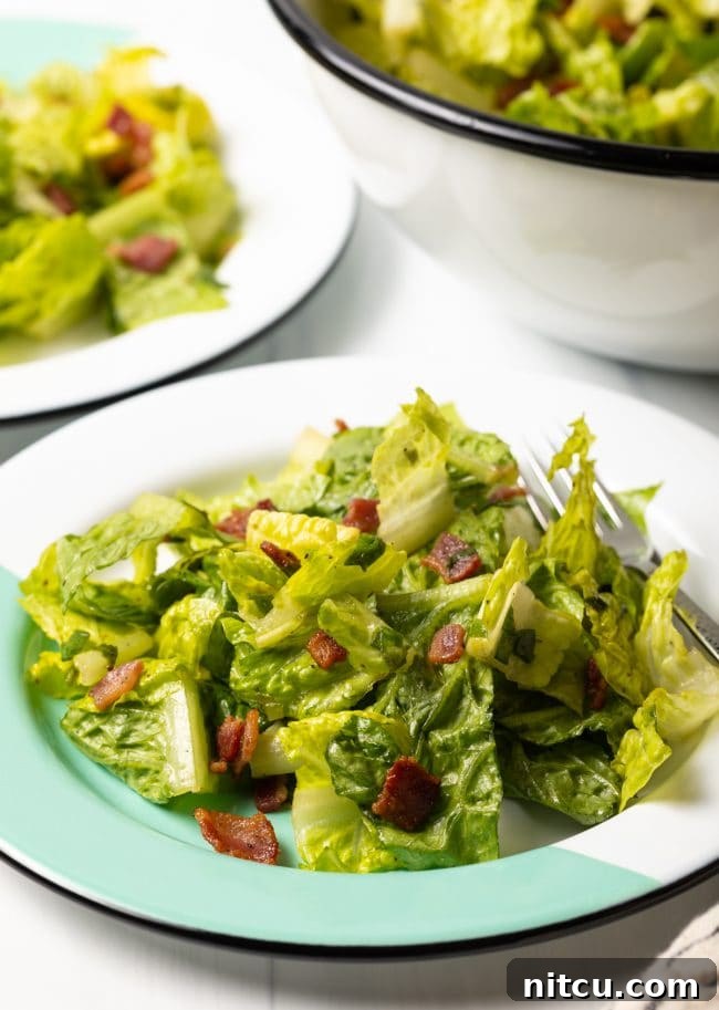 Sad Greens 10 side view killed lettuce salad on a white and teal plate