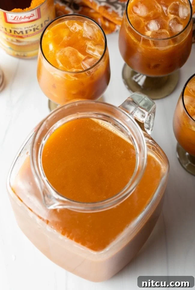 Hogwarts Pumpkin Juice 3 overhead top view of glass with pureed juice and glasses of iced juice in the background