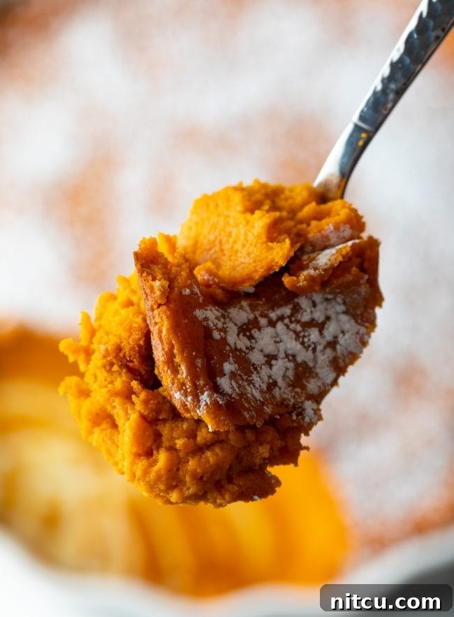 Golden Carrot Cloud 3 close view of spoon with mashed carrot casserole recipe