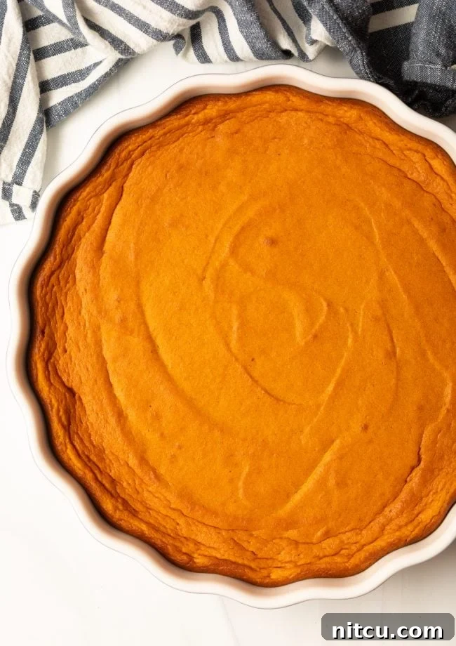Golden Carrot Cloud 7 top view baked carrot casserole