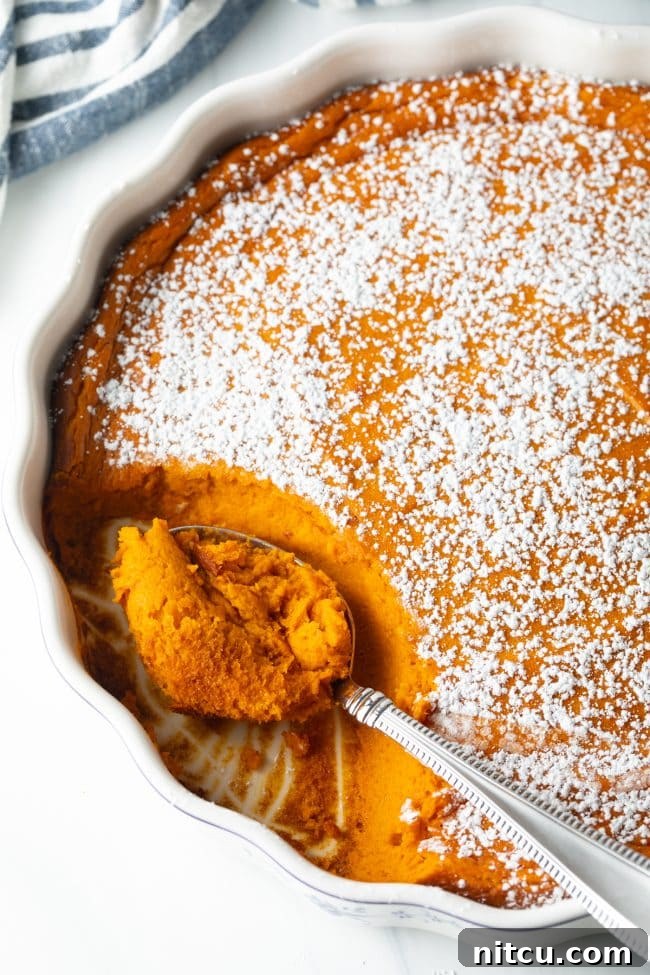 Golden Carrot Cloud 9 metal spoon taking a scoop of carrot souffle casserole made with mashed carrots, sprinkled with powdered sugar