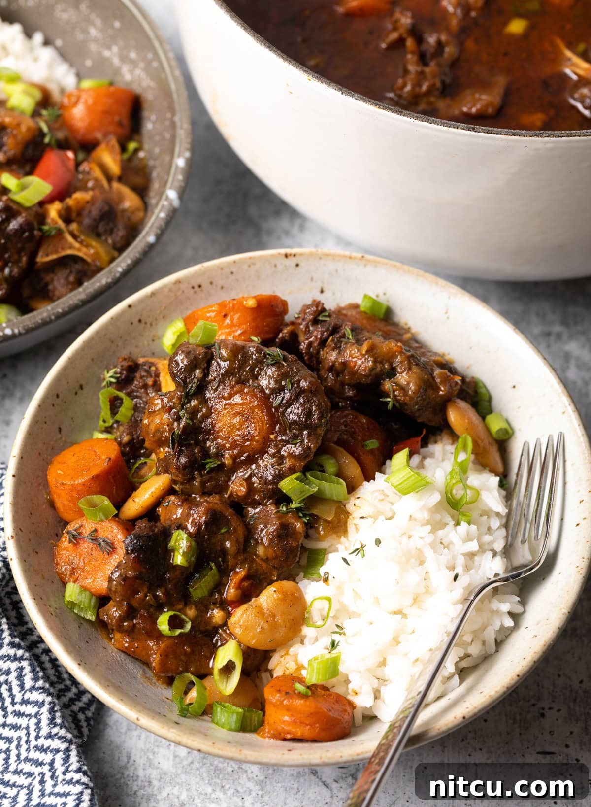 Rustic ox stew with rice and fresh vegetables in a large bowl, ready to be served.