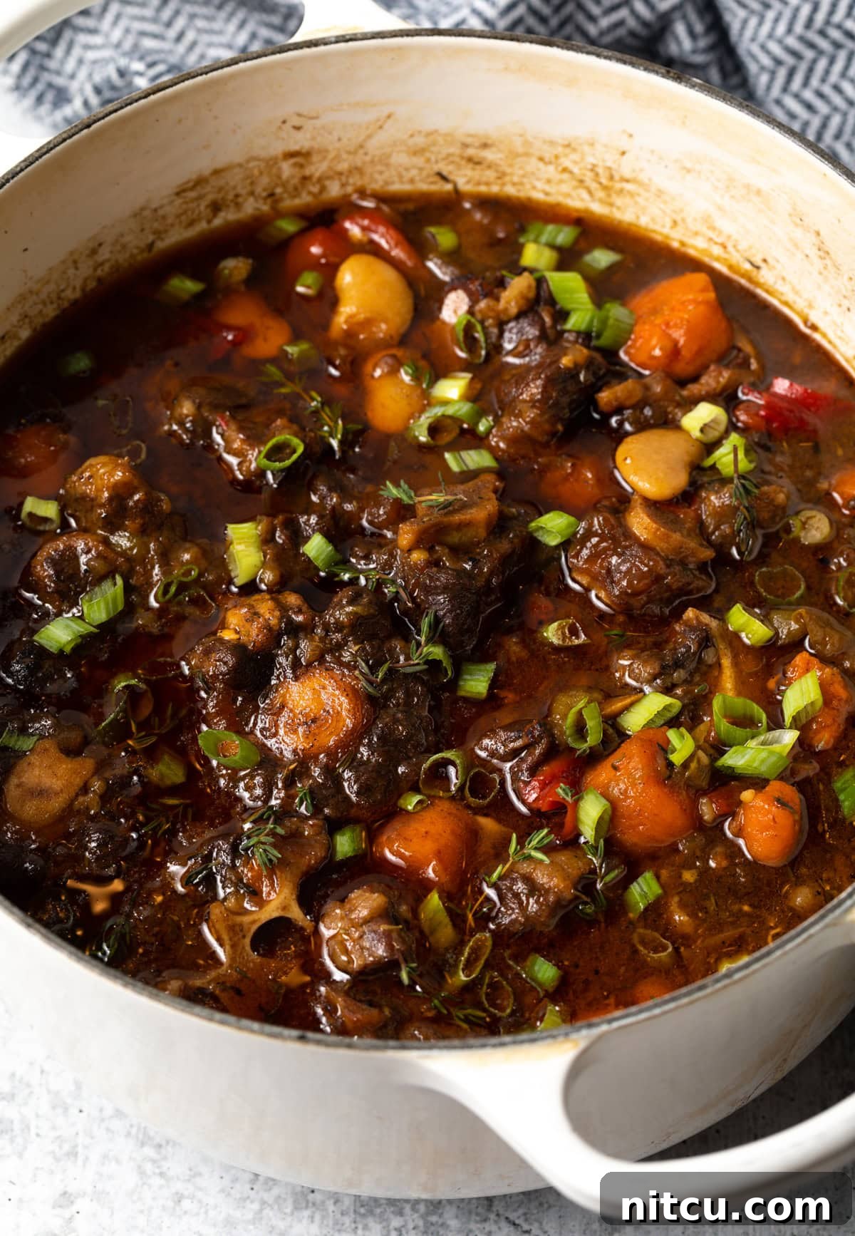 Top view of a white soup pot filled with simmering oxtail stew, vibrant carrots, and freshly chopped green onions.