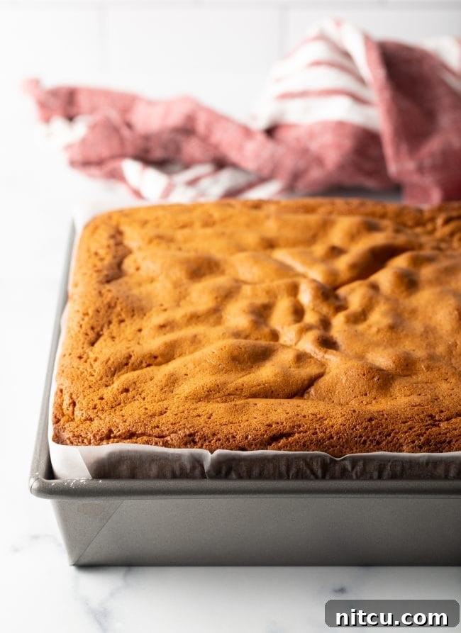 Featherlight Japanese Sponge Cake 8 Baked Japanese sponge cake in a cake pan.