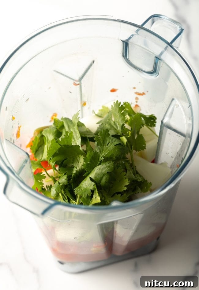 Mexican Fideo Noodle Bowl 7 blender jar top view with cilantro added to other ingredients, showcasing all the fresh aromatics