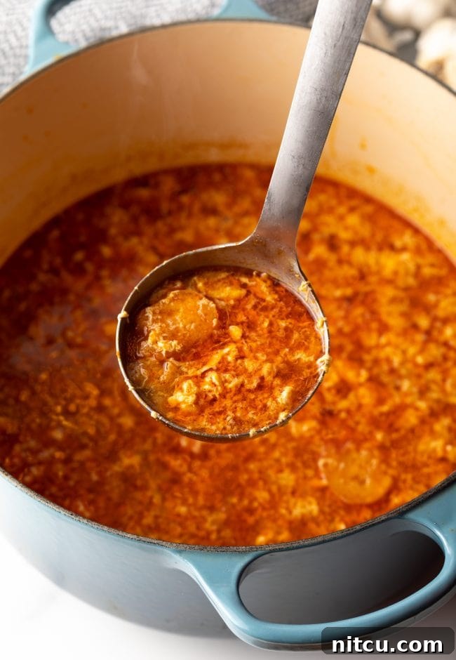 Rustic Spanish Garlic Soup 11 ladle full of spanish sopa de ajo garlic and egg soup held to camera