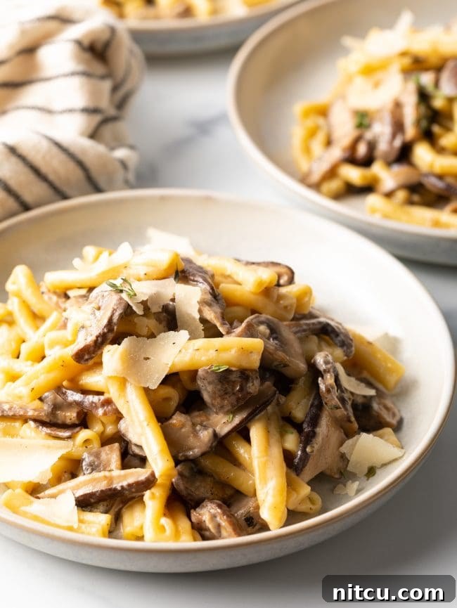 close up view of bowl with gemelli pasta and mushroom cream sauce