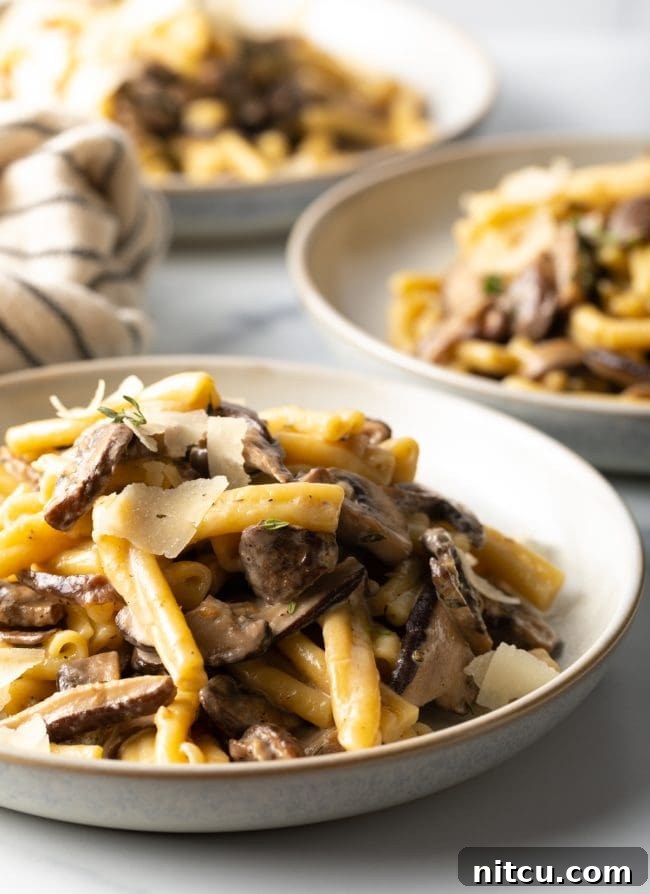 close view plated pasta with creamy mushroom parmesan sauce