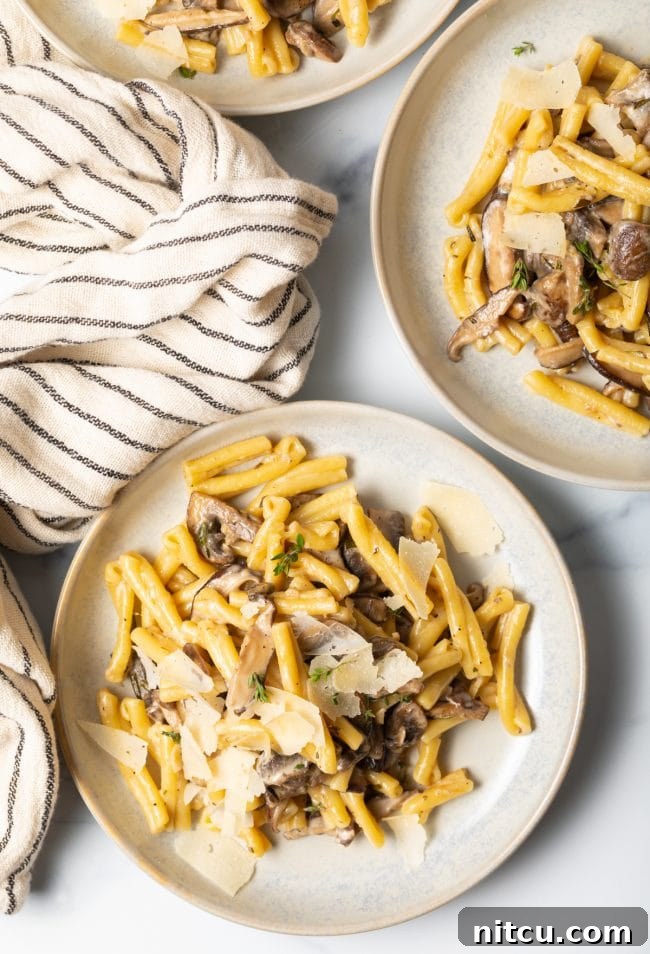 top view of two bowls of creamy mushroom sauce pasta