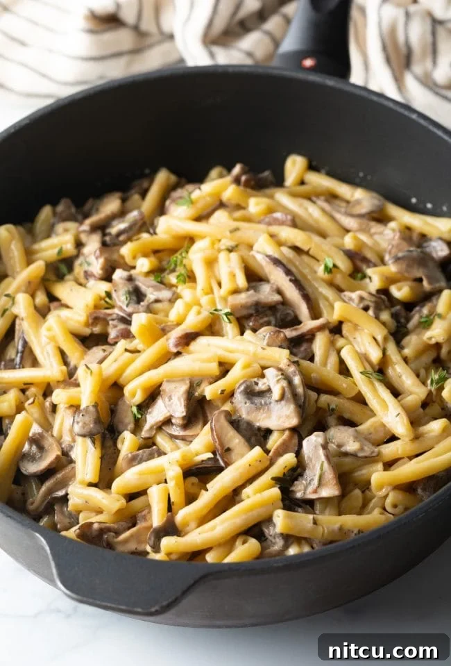 heavy skillet with gemelli mushroom pasta and cream sauce