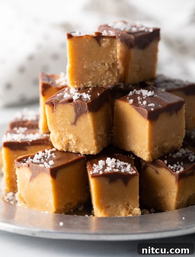 Peanut Butter Delights 2 Close-up view of stacked pieces of chocolate peanut butter fudge, showing the creamy texture and chocolate swirl.