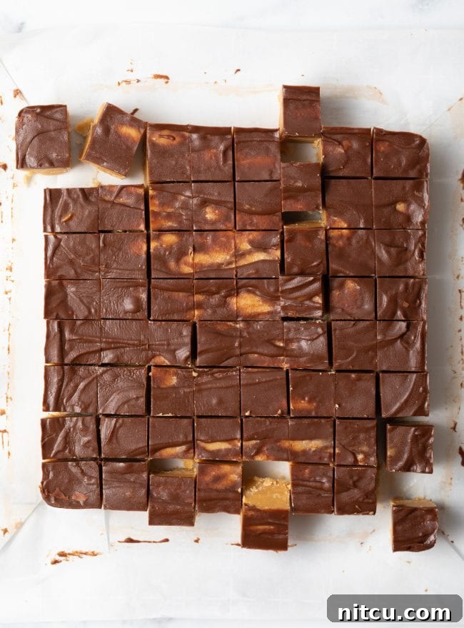Peanut Butter Delights 13 Top-down view of freshly cut chocolate peanut butter fudge, neatly arranged in 1-inch squares.