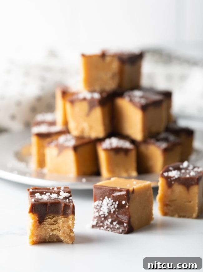 Peanut Butter Delights 15 Background blur with stacked fudge, three pieces of chocolate peanut butter fudge in the foreground, one with a bite taken out.