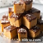 Peanut Butter Delights 16 A small image of the finished Chocolate Peanut Butter Fudge.