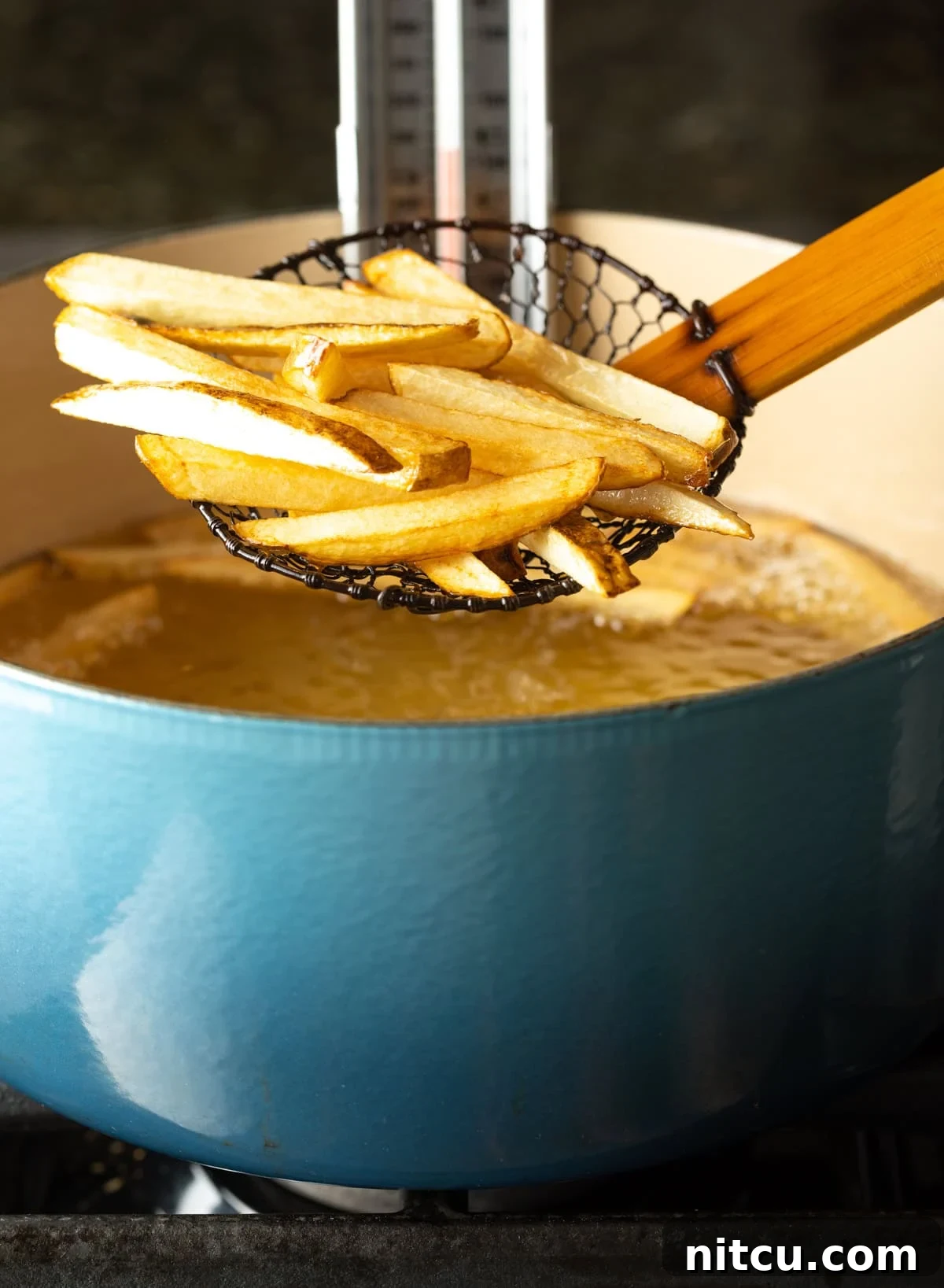 Cajun Fries: Homemade Seasoning Blend Recipe 10 Skimmer holding French fries to camera.