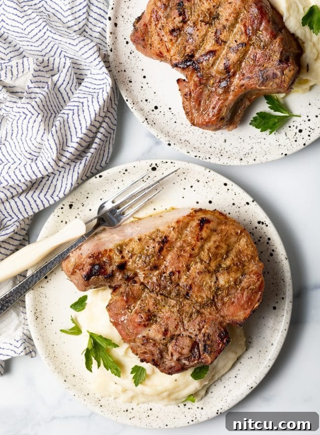 Top down bone-in pork chops from smoker on a plate with mashed potatoes.
