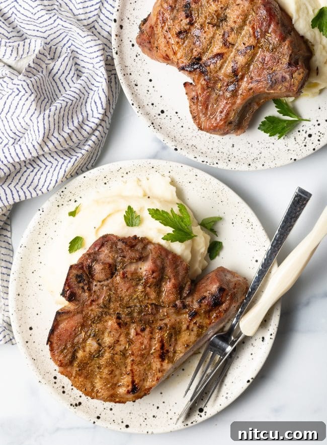Top view bone-in chop Traeger Pork chops with mashed potatoes on a plate.