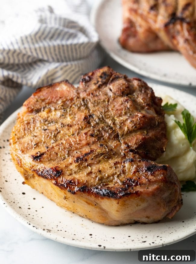 Side view of smoked pork chop on a plate with mashed potatoes.