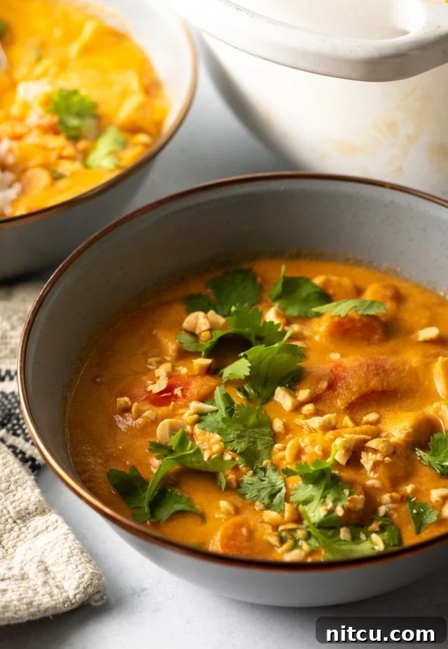 Authentic West African Maafe Peanut Stew 2 Close view of a bowl of Maafe topped with chopped nuts and cilantro, showcasing its rich texture and inviting garnish.