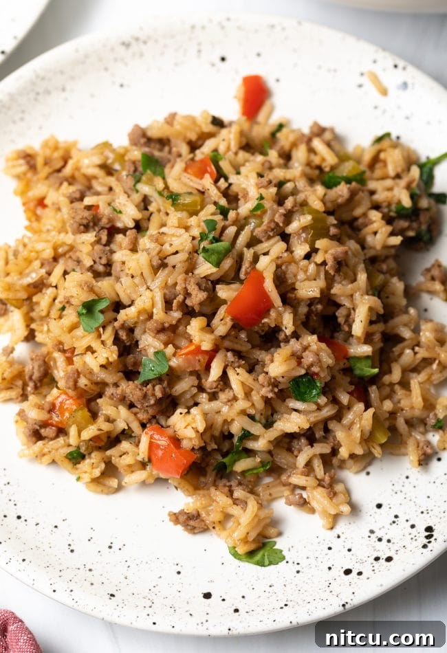 Soulful Cajun Dirty Rice 4 A serving of Cajun dirty rice on a plate, garnished with fresh parsley.